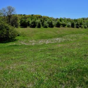 Photo of SOLD!  20 Acres of Equestrian Farm and Residential Land For Sale in Rockbridge County VA!