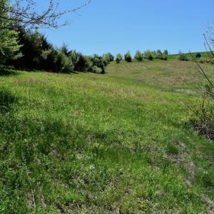 Photo of SOLD!  20 Acres of Equestrian Farm and Residential Land For Sale in Rockbridge County VA!