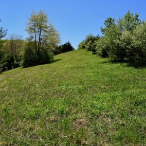 Photo of SOLD!  20 Acres of Equestrian Farm and Residential Land For Sale in Rockbridge County VA!