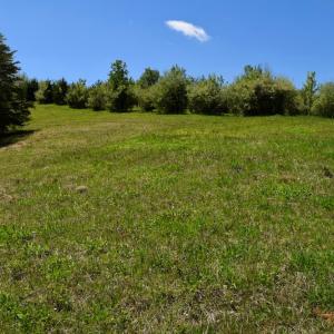 Photo of SOLD!  20 Acres of Equestrian Farm and Residential Land For Sale in Rockbridge County VA!