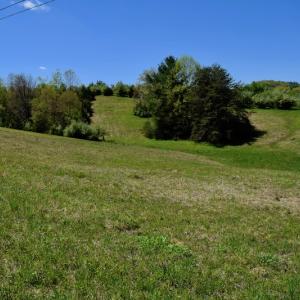 Photo of SOLD!  20 Acres of Equestrian Farm and Residential Land For Sale in Rockbridge County VA!