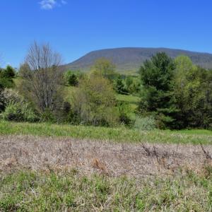 Photo of SOLD!  20 Acres of Equestrian Farm and Residential Land For Sale in Rockbridge County VA!