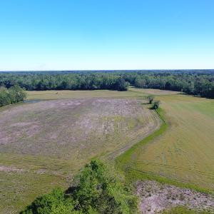 Photo of UNDER CONTRACT!  21 Acres of Farm and Hunting Land For Sale in Columbus County NC!