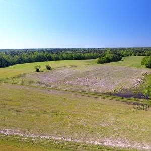 Photo of UNDER CONTRACT!  21 Acres of Farm and Hunting Land For Sale in Columbus County NC!