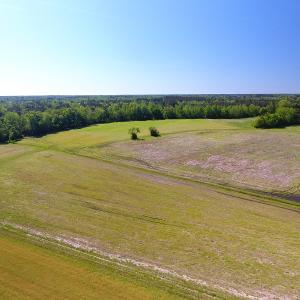 Photo of UNDER CONTRACT!  21 Acres of Farm and Hunting Land For Sale in Columbus County NC!