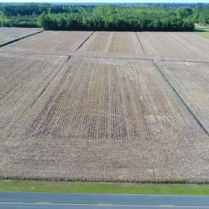 Photo of SOLD!  30 Acres of Investment Farm and Timber Land For Sale in Beaufort County NC!