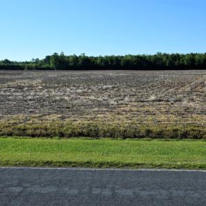 Photo of SOLD!  30 Acres of Investment Farm and Timber Land For Sale in Beaufort County NC!