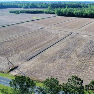 Photo of SOLD!  30 Acres of Investment Farm and Timber Land For Sale in Beaufort County NC!