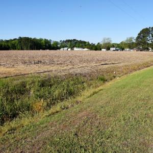 Photo of SOLD!  30 Acres of Investment Farm and Timber Land For Sale in Beaufort County NC!