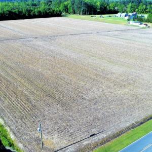 Photo of SOLD!  30 Acres of Investment Farm and Timber Land For Sale in Beaufort County NC!