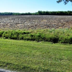Photo of SOLD!  30 Acres of Investment Farm and Timber Land For Sale in Beaufort County NC!
