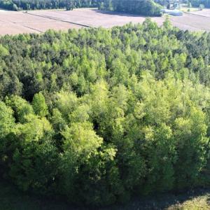 Photo of SOLD!  30 Acres of Investment Farm and Timber Land For Sale in Beaufort County NC!