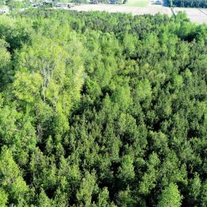 Photo of SOLD!  30 Acres of Investment Farm and Timber Land For Sale in Beaufort County NC!