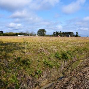 Photo of SOLD!  30 Acres of Investment Farm and Timber Land For Sale in Beaufort County NC!