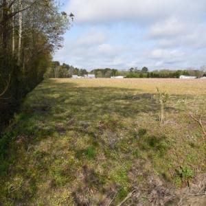 Photo of SOLD!  30 Acres of Investment Farm and Timber Land For Sale in Beaufort County NC!
