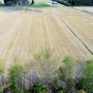 Photo of SOLD!  30 Acres of Investment Farm and Timber Land For Sale in Beaufort County NC!