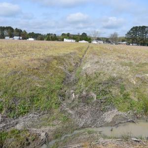 Photo of SOLD!  30 Acres of Investment Farm and Timber Land For Sale in Beaufort County NC!