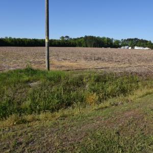Photo of SOLD!  30 Acres of Investment Farm and Timber Land For Sale in Beaufort County NC!