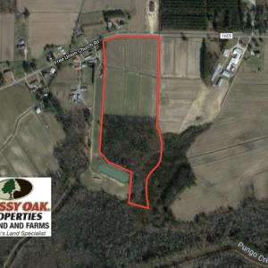 Photo of SOLD!  30 Acres of Investment Farm and Timber Land For Sale in Beaufort County NC!