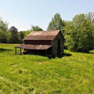 Photo of UNDER CONTRACT!  10.5 Acres of Residential Farm and Hunting Land for Sale in Halifax County NC!