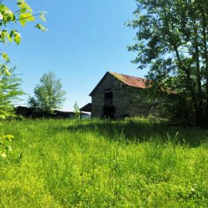Photo of UNDER CONTRACT!  10.5 Acres of Residential Farm and Hunting Land for Sale in Halifax County NC!