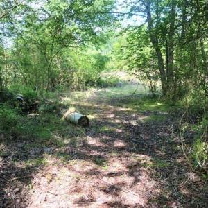 Photo of SOLD!!  8.38 Acres of Recreational Hunting Land For Sale in Warren County NC!