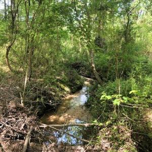 Photo of SOLD!!  8.38 Acres of Recreational Hunting Land For Sale in Warren County NC!