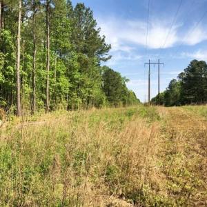 Photo of SOLD!!  8.38 Acres of Recreational Hunting Land For Sale in Warren County NC!