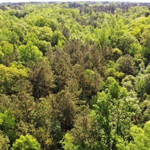 Photo of SOLD!!  8.38 Acres of Recreational Hunting Land For Sale in Warren County NC!