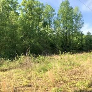 Photo of SOLD!!  8.38 Acres of Recreational Hunting Land For Sale in Warren County NC!