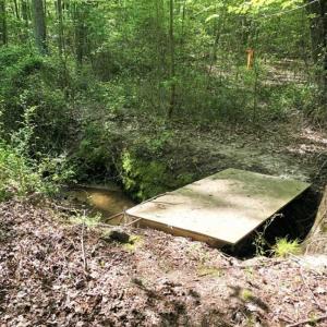 Photo of SOLD!!  8.38 Acres of Recreational Hunting Land For Sale in Warren County NC!