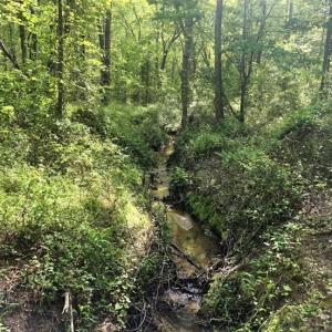 Photo of SOLD!!  8.38 Acres of Recreational Hunting Land For Sale in Warren County NC!