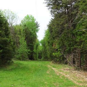 Photo of UNDER CONTRACT!  7 Acres of Residential and Hunting Land for Sale in Spotsylvania County VA!