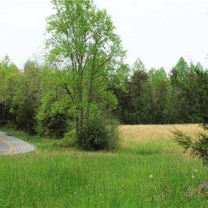 Photo of UNDER CONTRACT!  7 Acres of Residential and Hunting Land for Sale in Spotsylvania County VA!