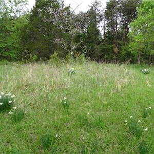 Photo of UNDER CONTRACT!  7 Acres of Residential and Hunting Land for Sale in Spotsylvania County VA!