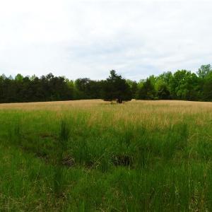 Photo of UNDER CONTRACT!  7 Acres of Residential and Hunting Land for Sale in Spotsylvania County VA!