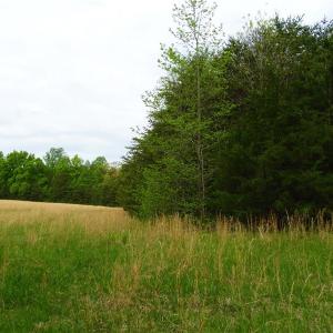 Photo of UNDER CONTRACT!  7 Acres of Residential and Hunting Land for Sale in Spotsylvania County VA!