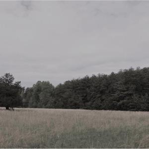 Photo of UNDER CONTRACT!  7 Acres of Residential and Hunting Land for Sale in Spotsylvania County VA!