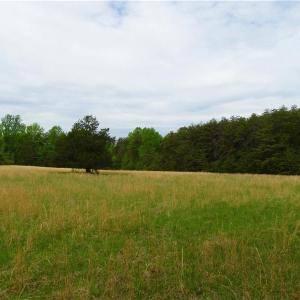 Photo of UNDER CONTRACT!  7 Acres of Residential and Hunting Land for Sale in Spotsylvania County VA!