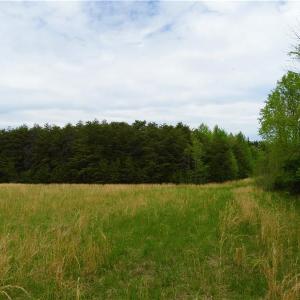 Photo of UNDER CONTRACT!  7 Acres of Residential and Hunting Land for Sale in Spotsylvania County VA!