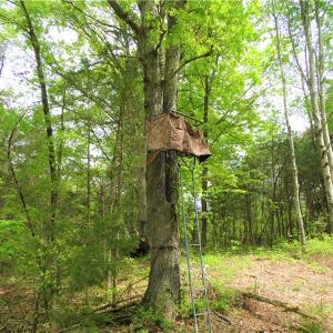 Photo of UNDER CONTRACT!  7 Acres of Residential and Hunting Land for Sale in Spotsylvania County VA!