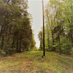 Photo of UNDER CONTRACT!  7 Acres of Residential and Hunting Land for Sale in Spotsylvania County VA!