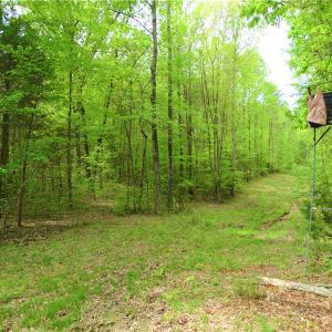 Photo of UNDER CONTRACT!  7 Acres of Residential and Hunting Land for Sale in Spotsylvania County VA!
