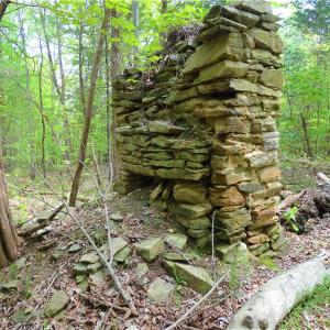 Photo of UNDER CONTRACT!  7 Acres of Residential and Hunting Land for Sale in Spotsylvania County VA!