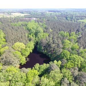 Photo of UNDER CONTRACT!  340 Acres of Hunting and Timber Land For Sale in Richmond County NC!