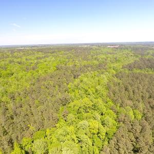 Photo of UNDER CONTRACT!  340 Acres of Hunting and Timber Land For Sale in Richmond County NC!