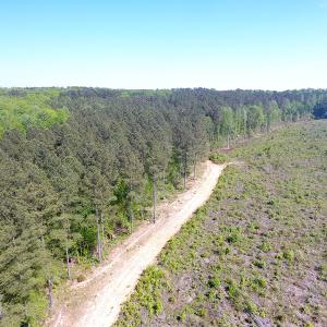 Photo of UNDER CONTRACT!  340 Acres of Hunting and Timber Land For Sale in Richmond County NC!