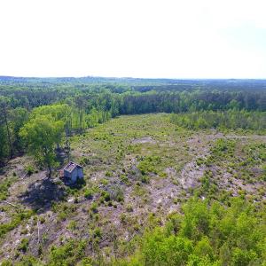 Photo of UNDER CONTRACT!  340 Acres of Hunting and Timber Land For Sale in Richmond County NC!