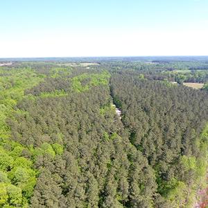 Photo of UNDER CONTRACT!  340 Acres of Hunting and Timber Land For Sale in Richmond County NC!