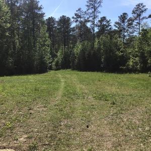 Photo of UNDER CONTRACT!  340 Acres of Hunting and Timber Land For Sale in Richmond County NC!